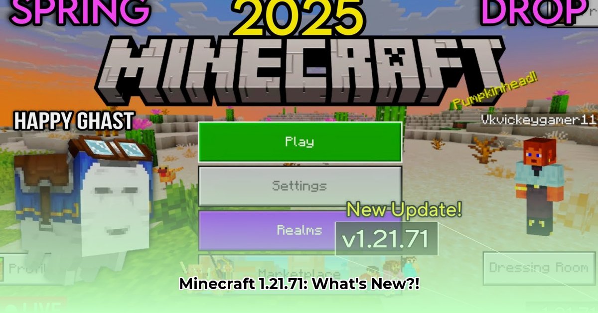 minecraft-download-v1-21-71